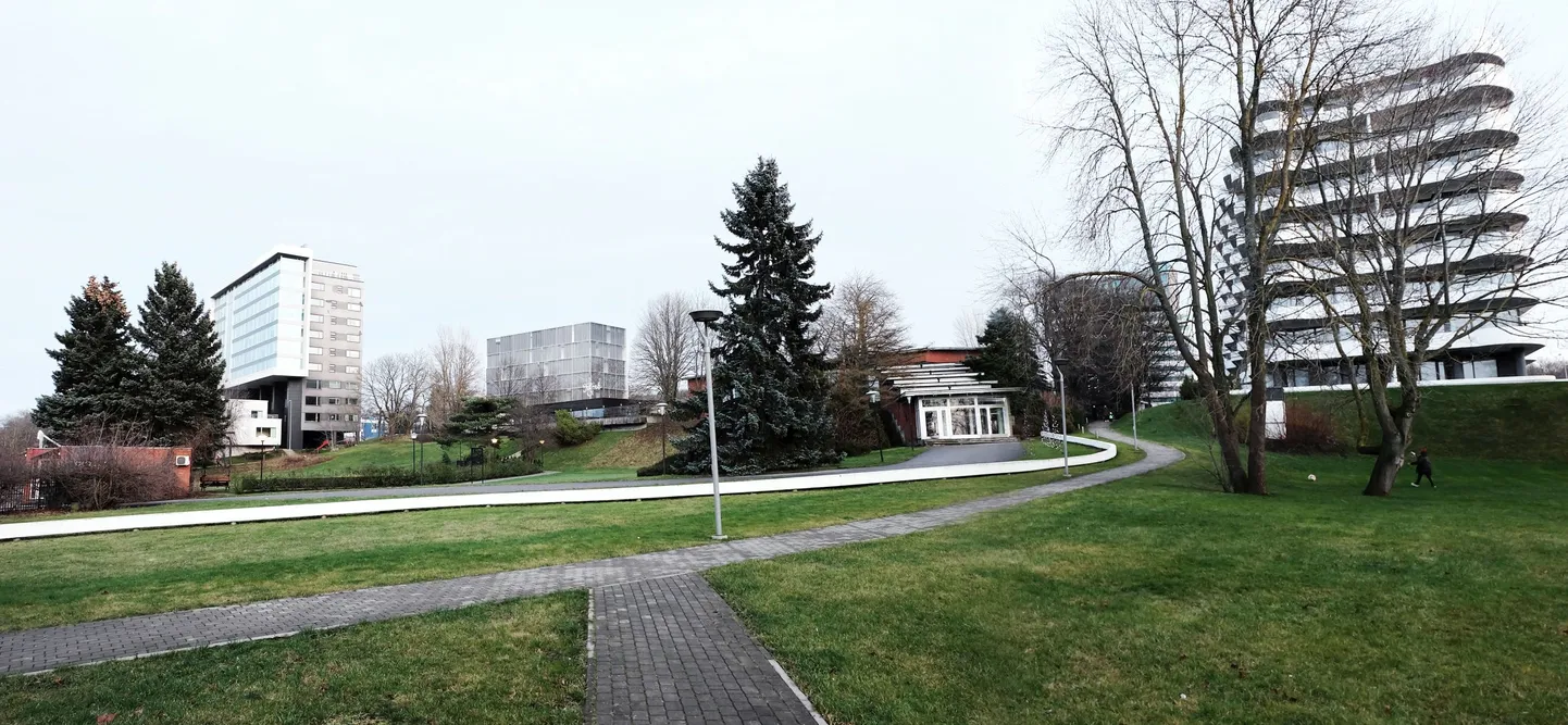 Tuljaku juurdeehitise eskiis.