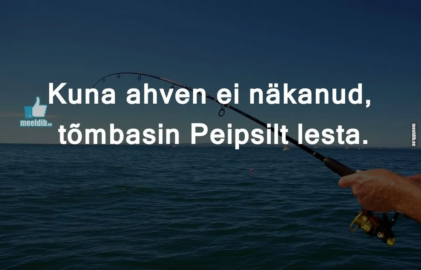 Artikli foto