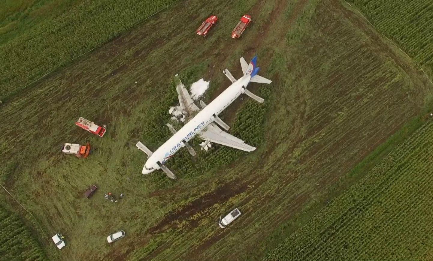 Maisipõllule hädamaandunud Airbus.