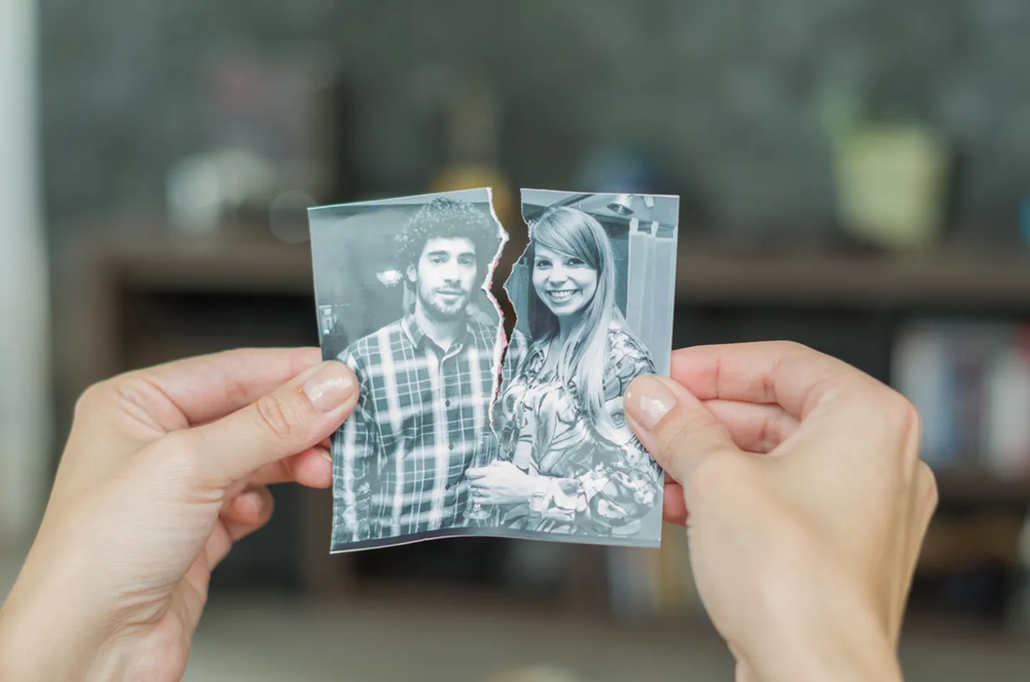 Artikli foto