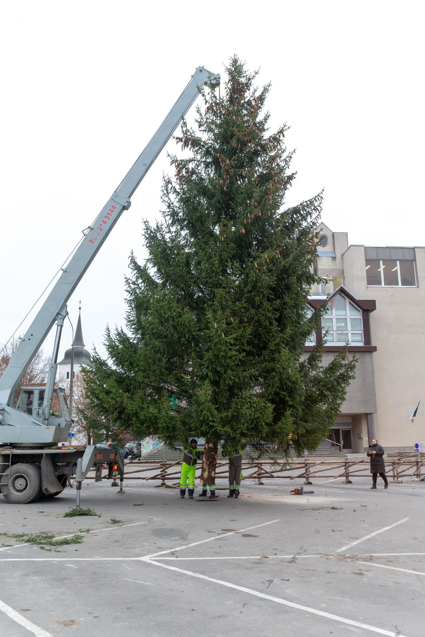 Viljandi Vabaduse platsile püsti pandud jõulupuu kõrval tunduvad inimesed tibatillukesed.