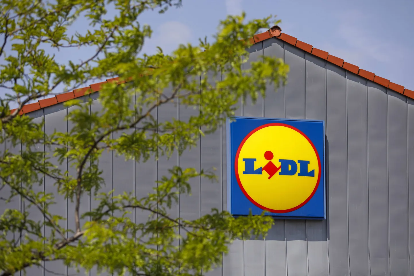 Lidli kauplus.