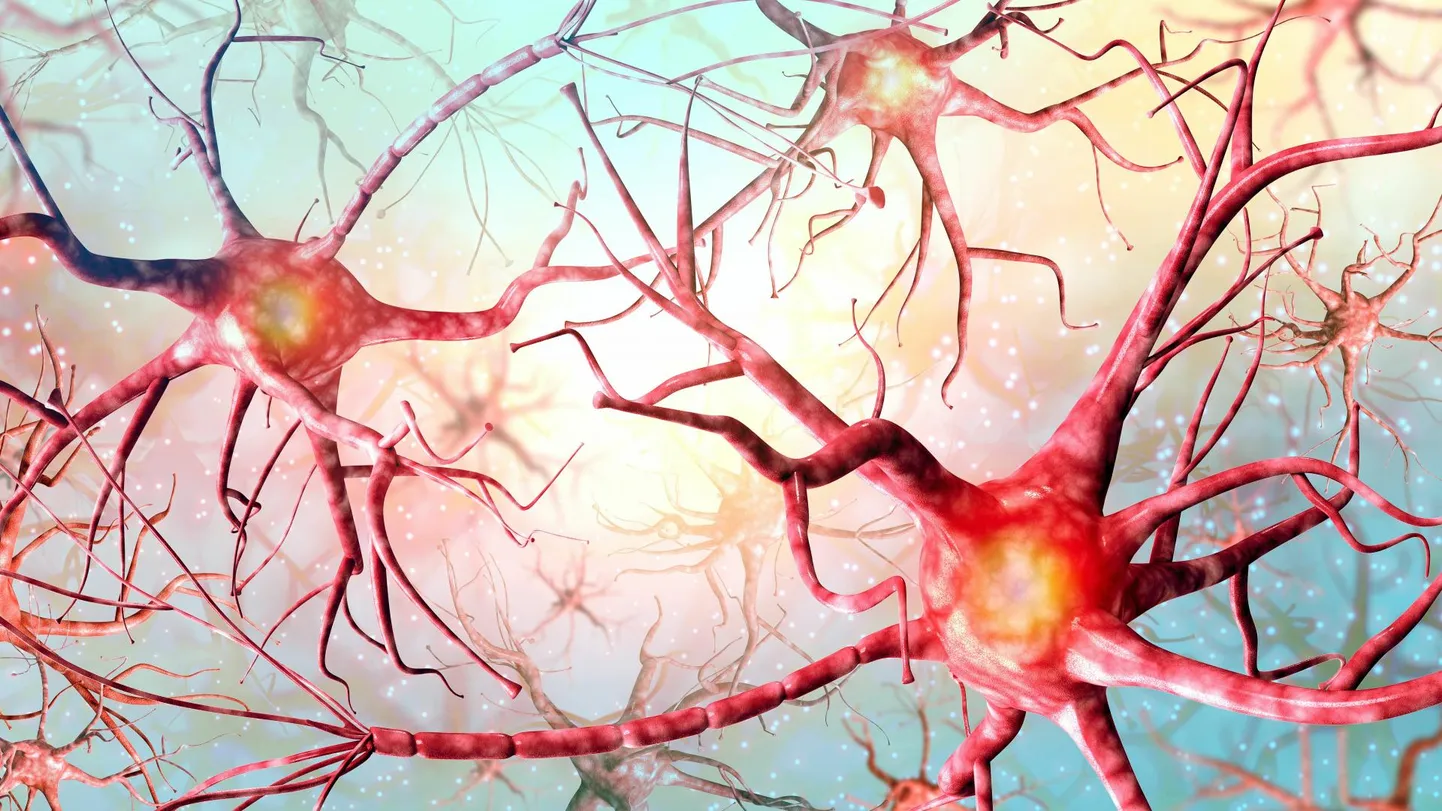 Neuronid kontrollivad haigusilminguid.