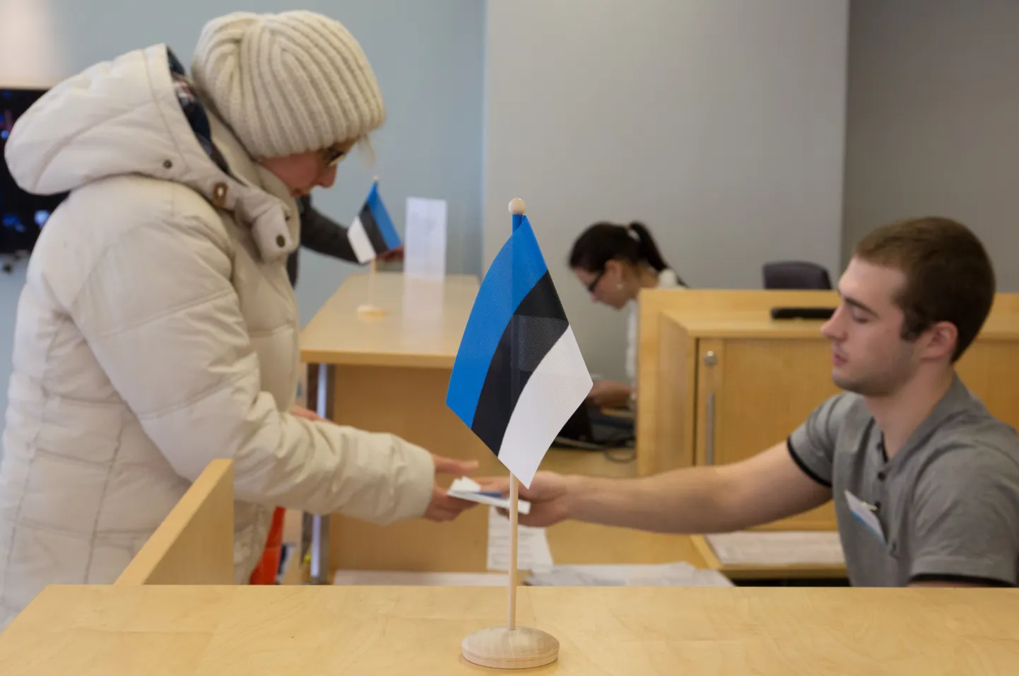 Предварительное голосование на выборах в Рийгикогу.