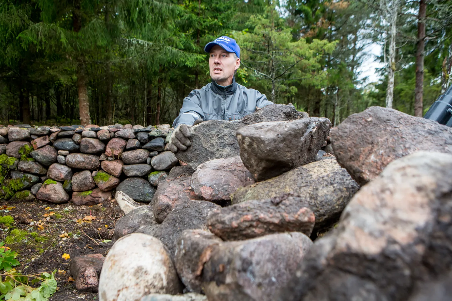 KAHEL RINDEL: Aare Aljase põllutöid varjutab sel kevadel lähenev kiviaia valmimise tähtaeg.