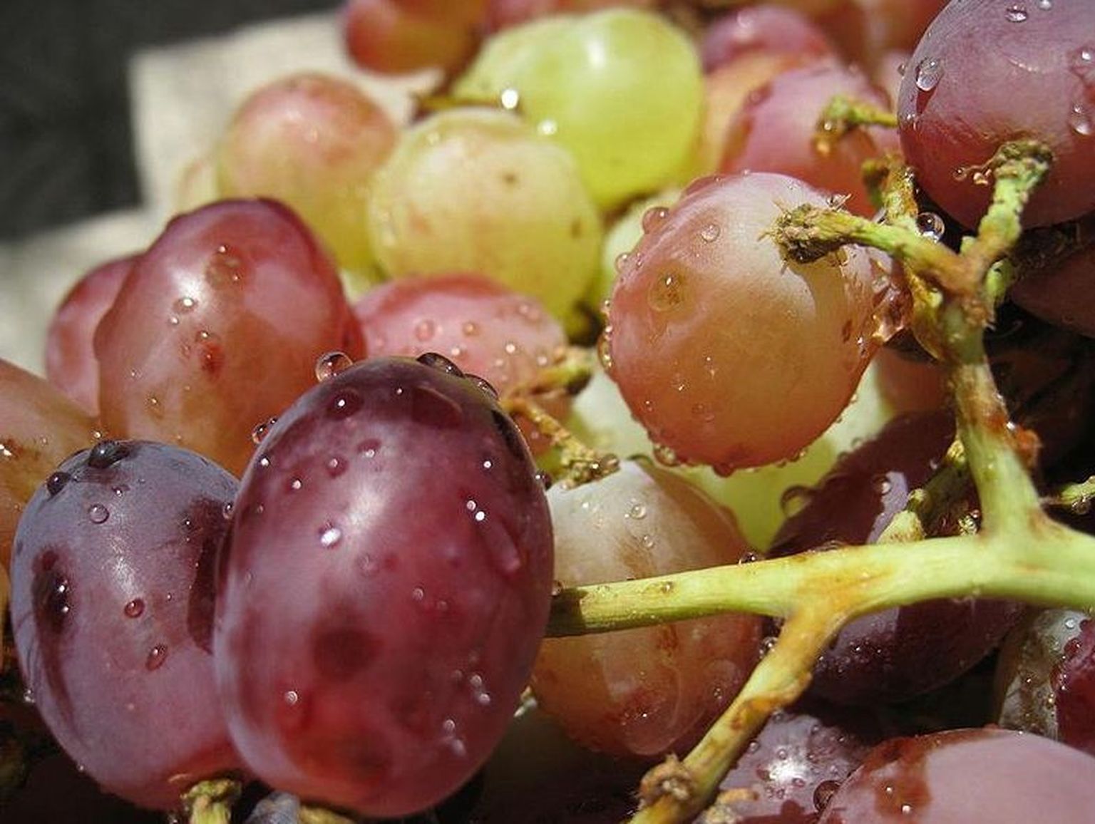 Ощутимее всего за август подешевел виноград