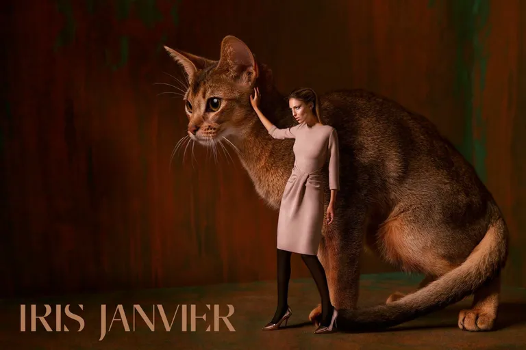 Iris Janvier 2015