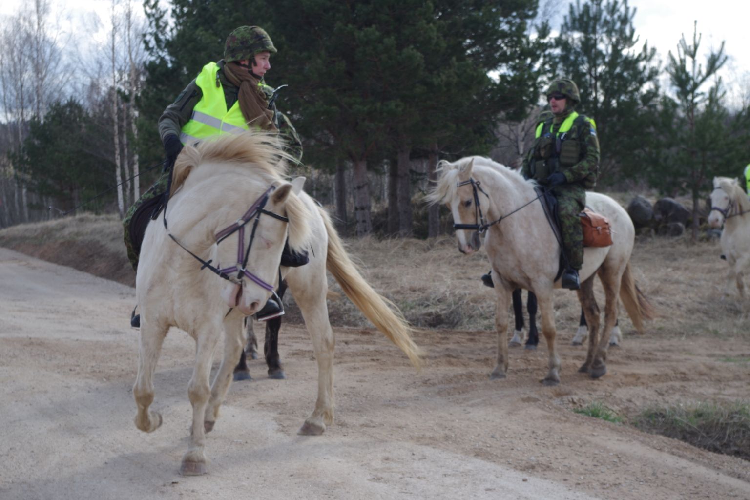 Kaitseliidu Võrumaa maleva ratsanikud patrullisid Krabi ja Luutsniku vahel.