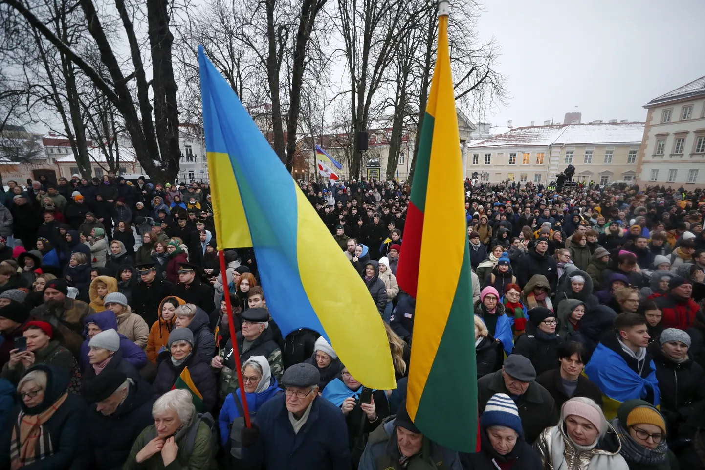 Флаги Украины и Литвы.