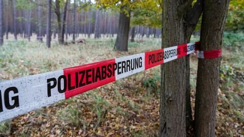 Saksamaal leiti metsast inimese pea, politsei uurib seoseid