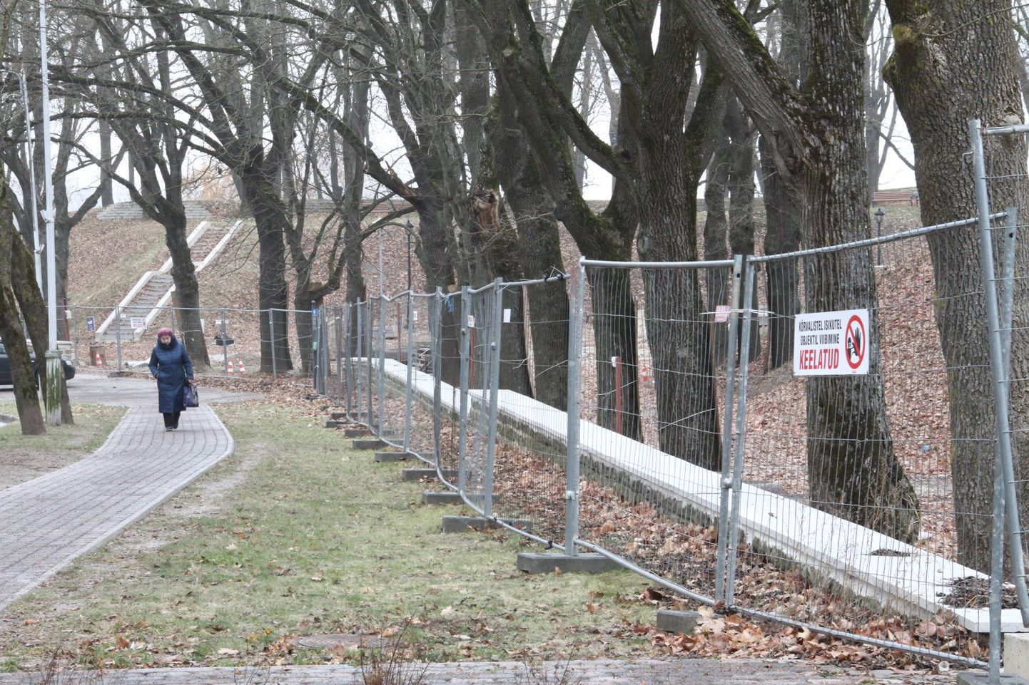 Строительный забор вокруг Темного сада в Нарве исчезнет только в конце лета 2020 года.