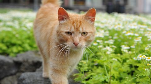 Otrdiena būs šīs nedēļas siltākā diena
