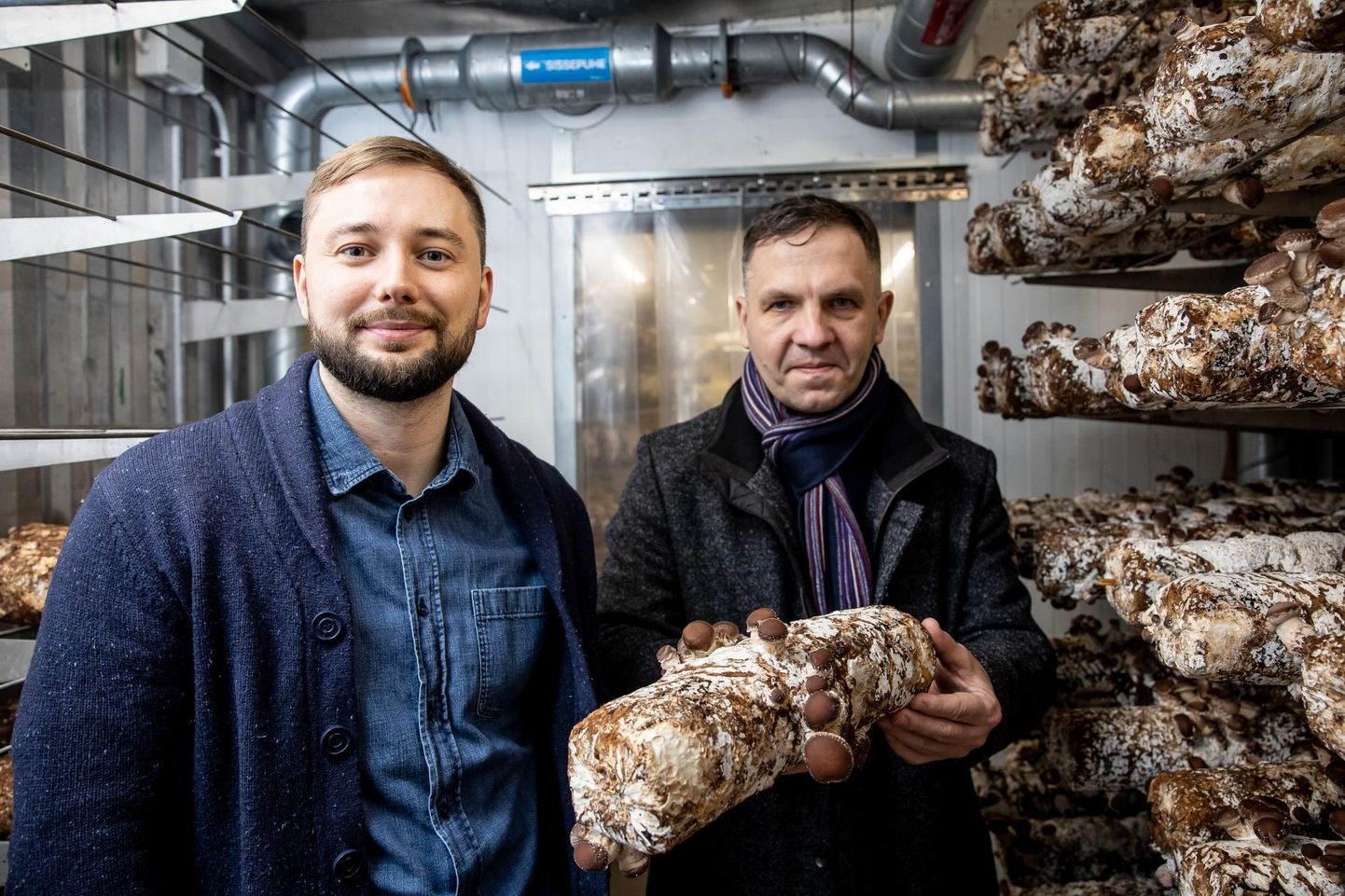 Andrean Razumovski (vasakul) ja Siim Kabrits tõdevad, et seene­maailmas on avastamist veel küllaga.