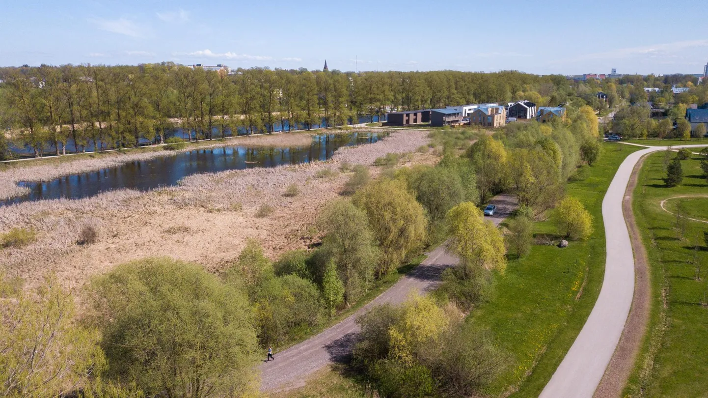 Konnade paradiis peab Supilinna tiigis säilma ka pärast selle puhastamist. 