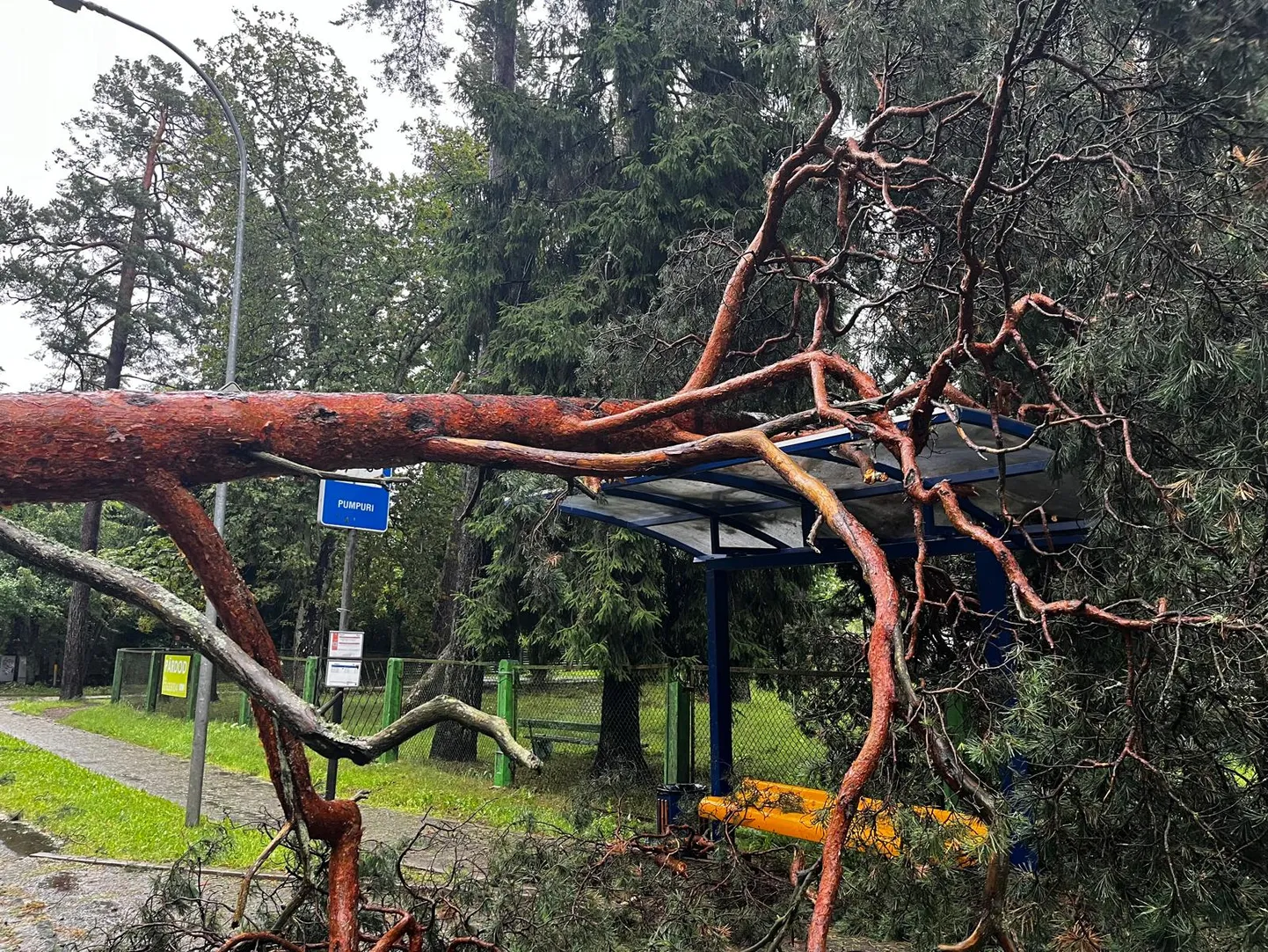 29.jūlija vētras postījumi Jūrmalā - aculiecinieka foto