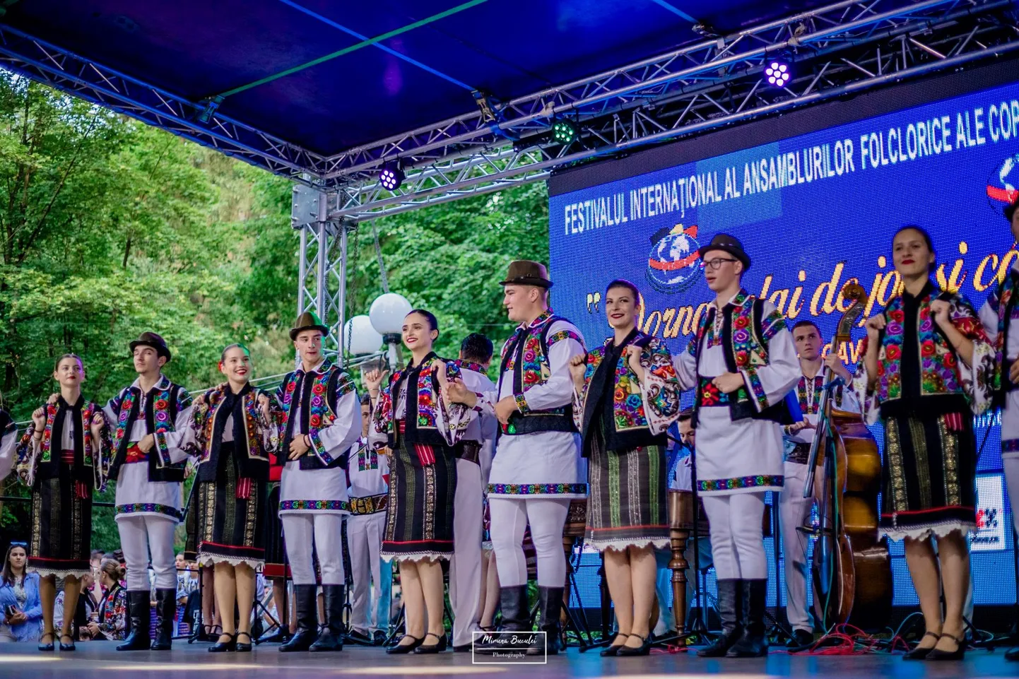 Ansambel Plaiurile Dornelor Rumeeniast