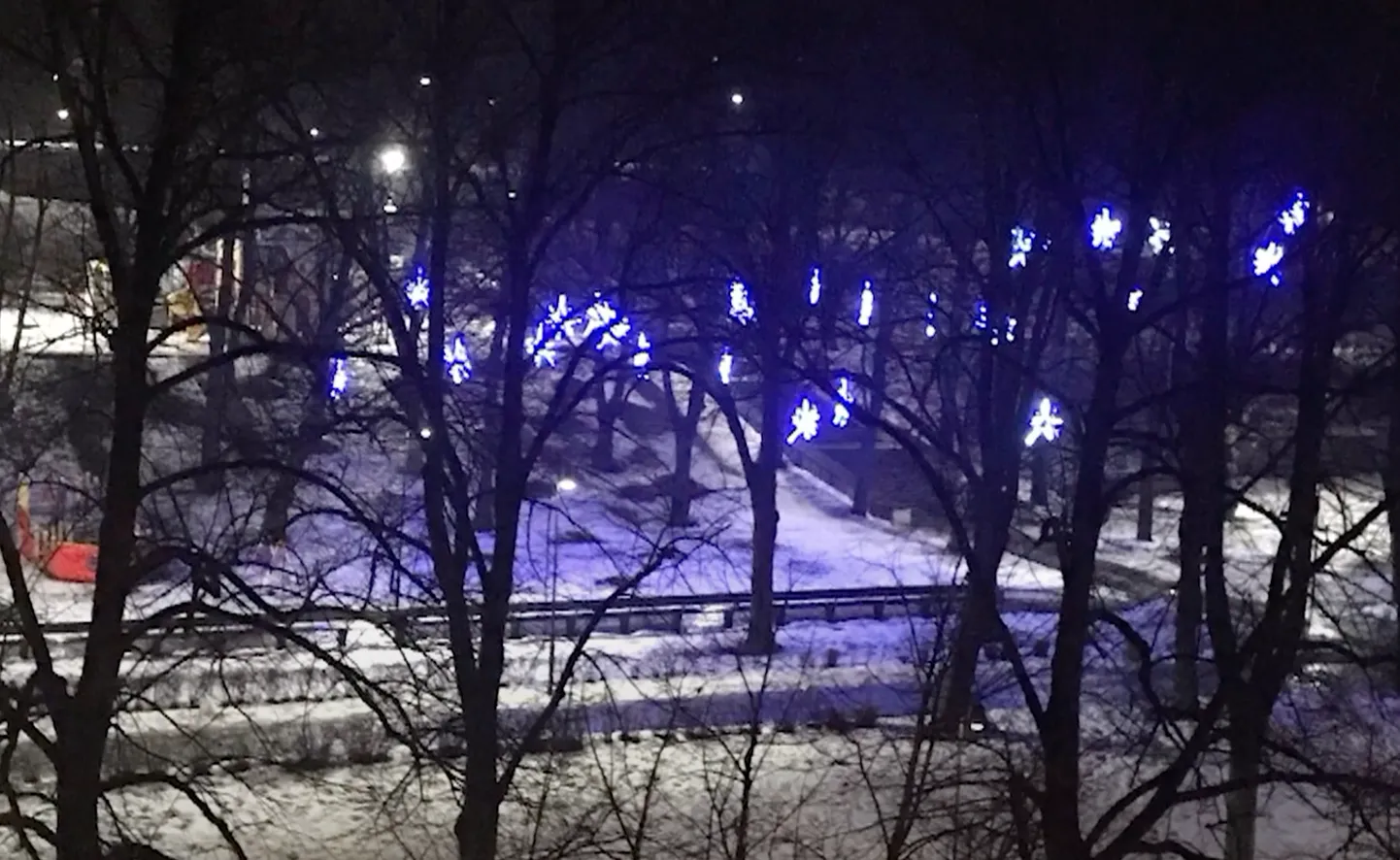 Raksta foto