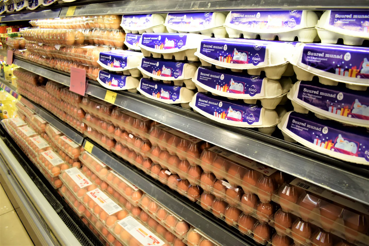 „Sisuliselt on Euroopas puudu 25 miljonit munejat kana ja on tekkinud munakriis, mis on muna hinna hüppeliselt üles viinud,” ütleb Dava Foodsi juht Vladimir Sapožnin.