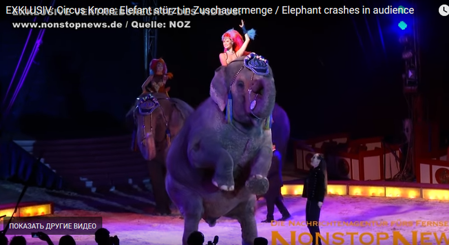 В Германии слон во время циркового выступления упал на зрителей.