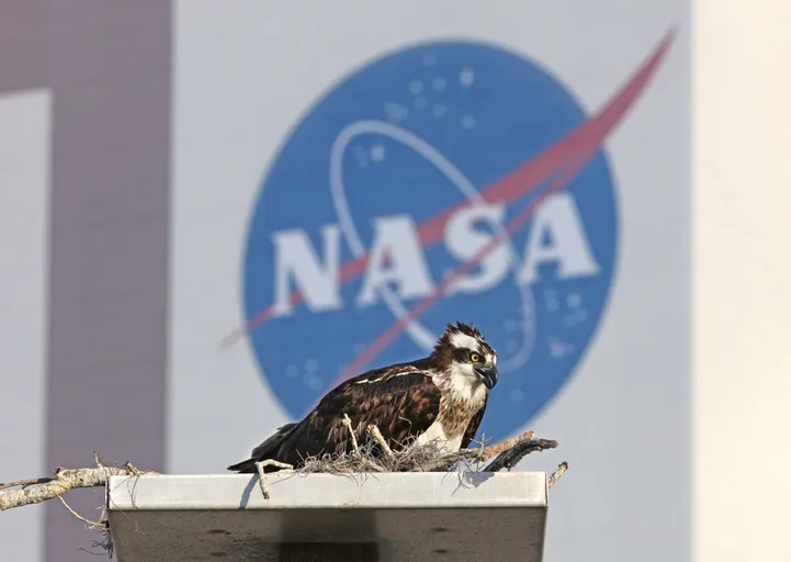 NASA iecerējusi izveidot bāzi uz Mēness