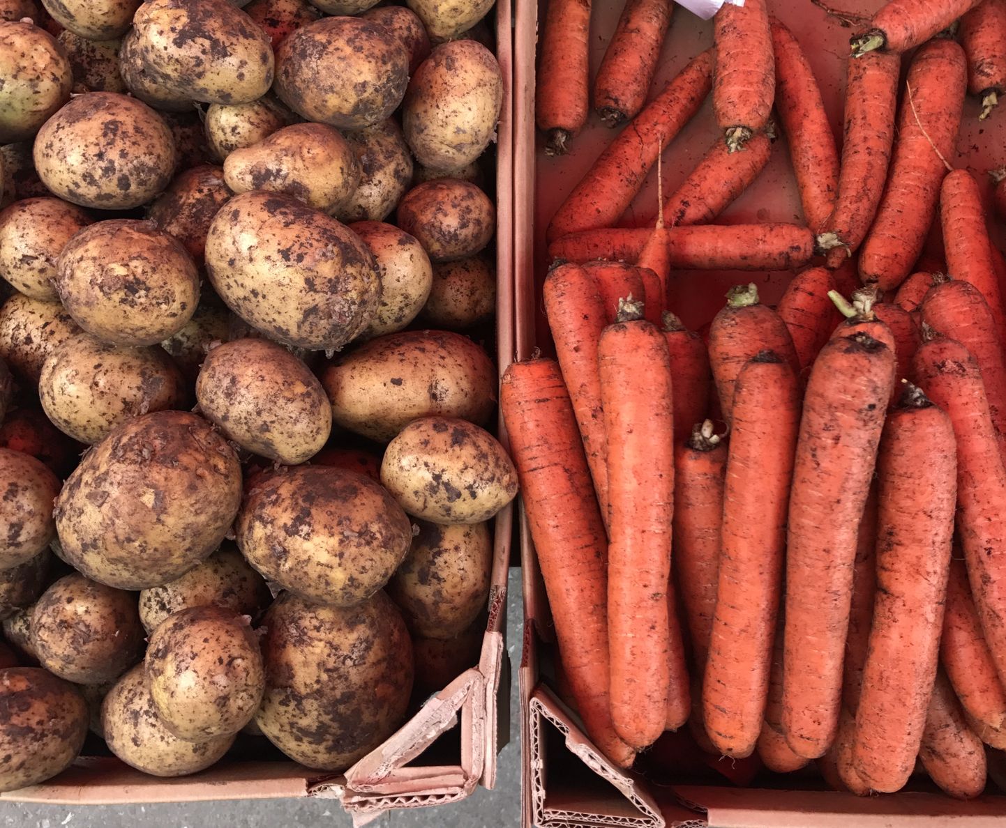 Свежие картошка и морковь на Центральном рынке. Иллюстративное фото.