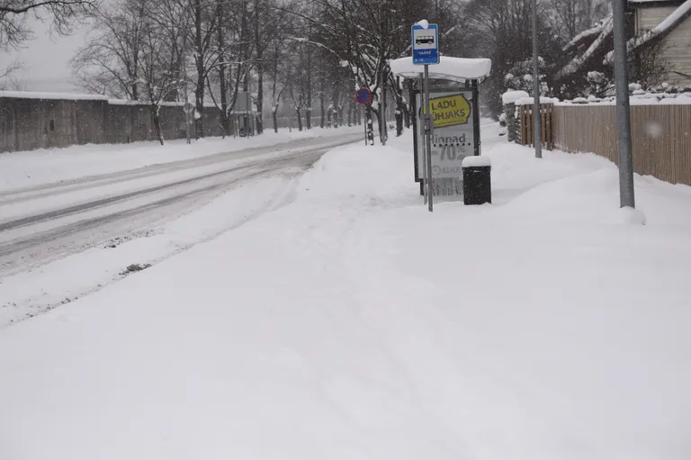 Lumised bussipeatused. Foto: