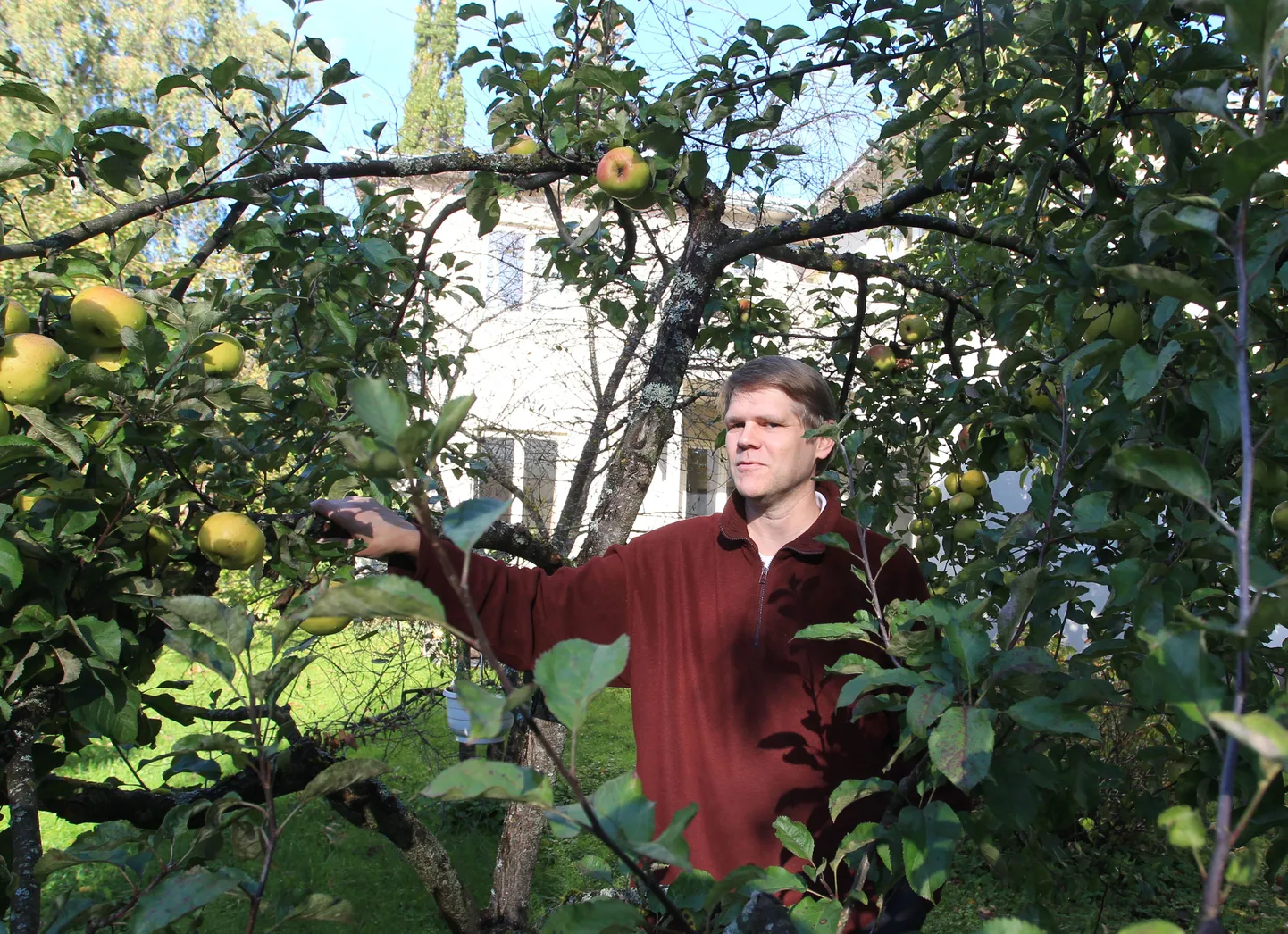 Margus Punab