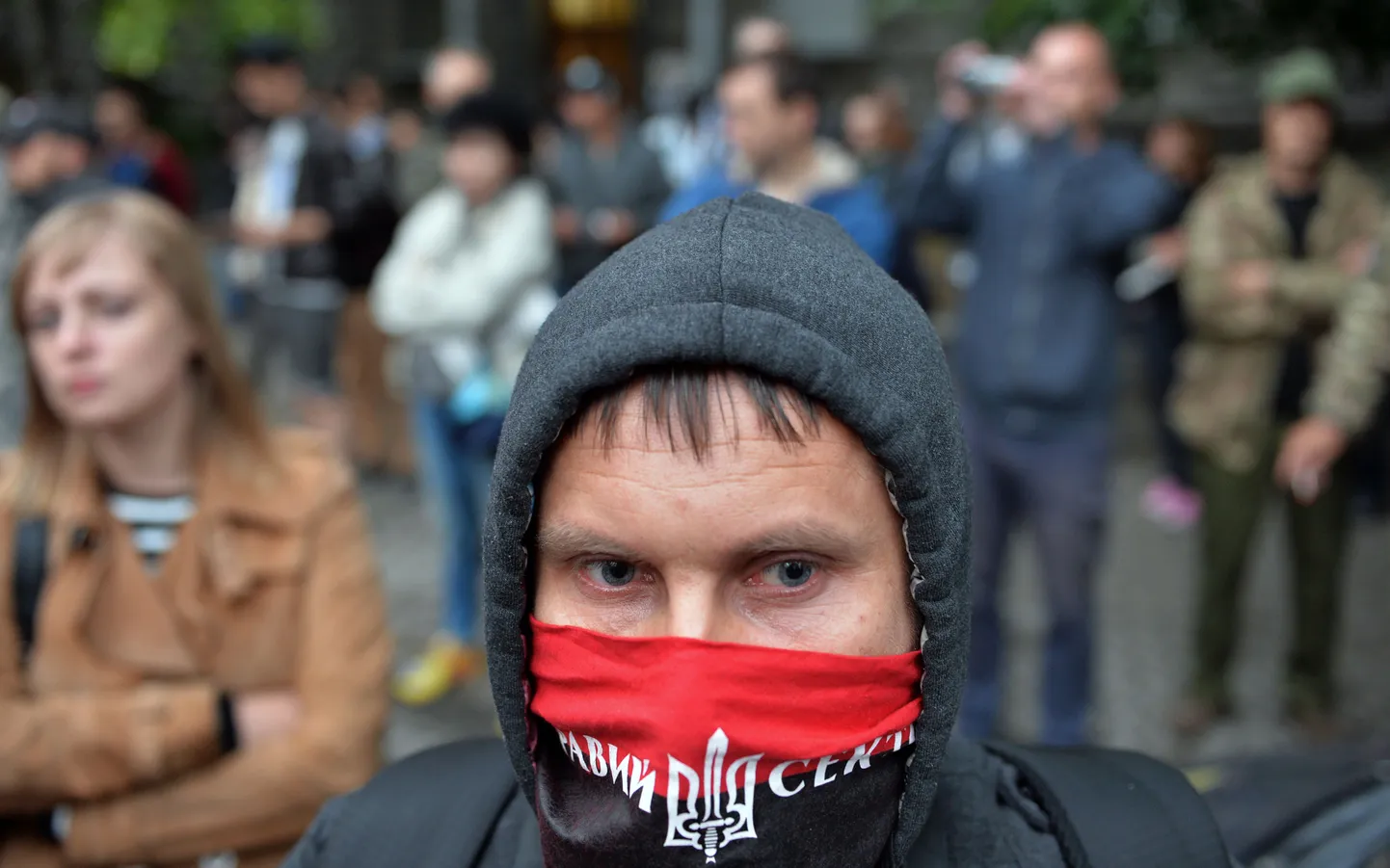 Фото статьи