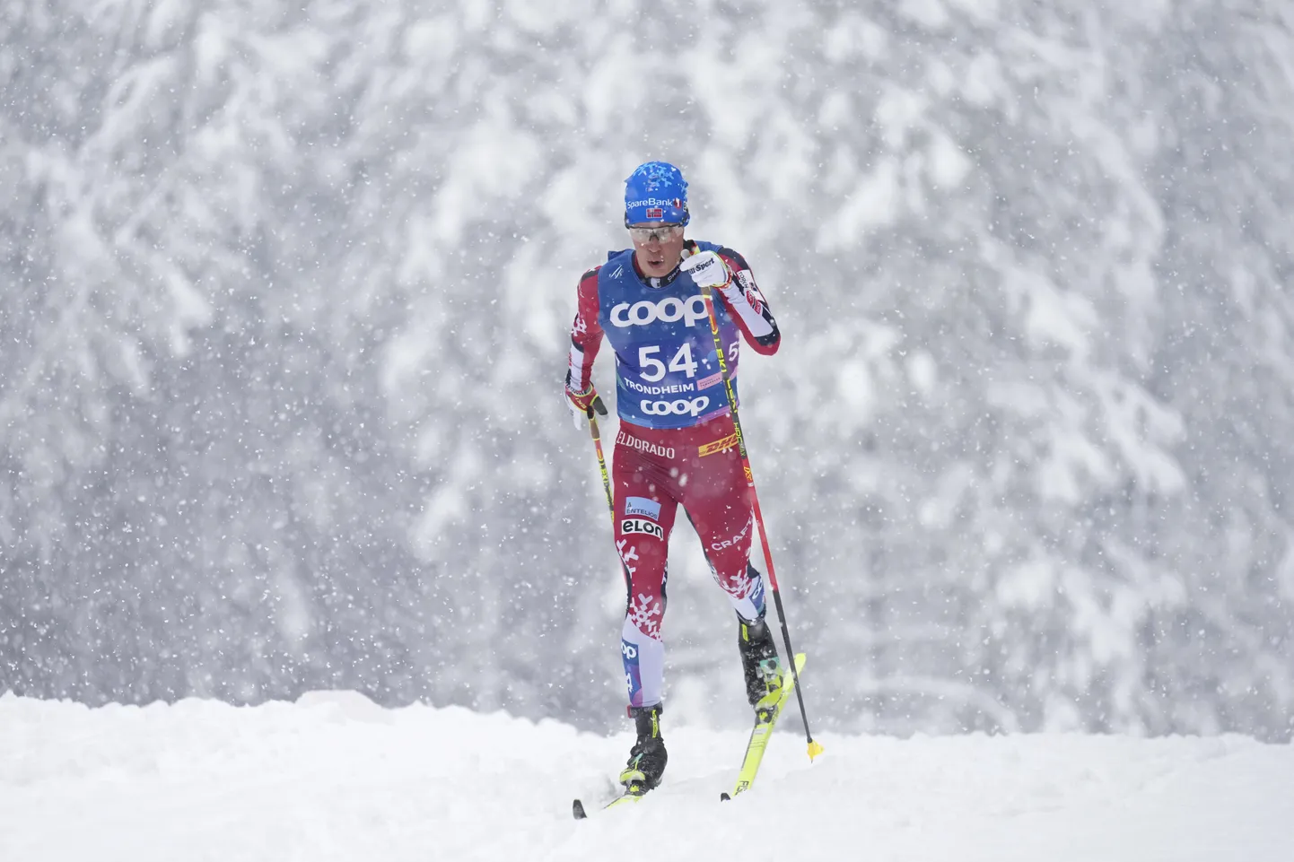 Martin Nyenget