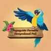Papagoide Paradiis