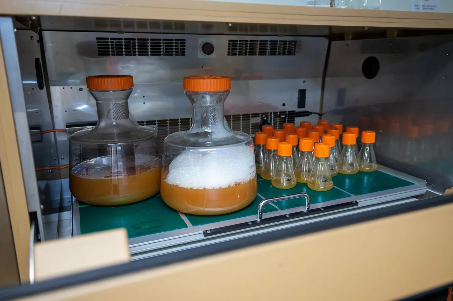 Tartu linna esindavad Icosagen AS, Bioatlas OÜ, Triumf Research OÜ ja Better Medicine.