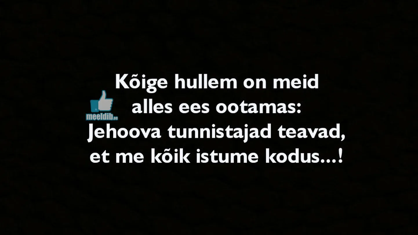 Artikli foto