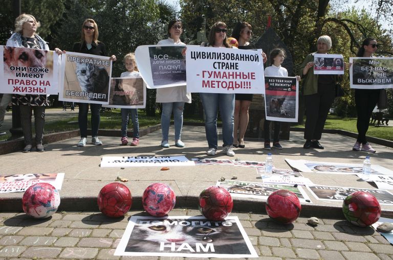 Loomakaitseaktivistid protesteerimas MMi eelse tänavakoerte ja -kasside tapmise vastu