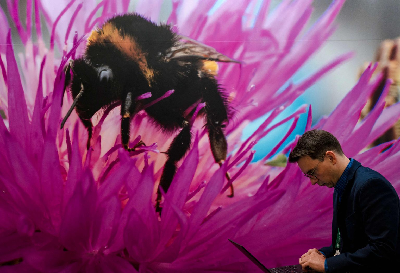 Delegaat COP15-l mesilase pildi ees töötamas.