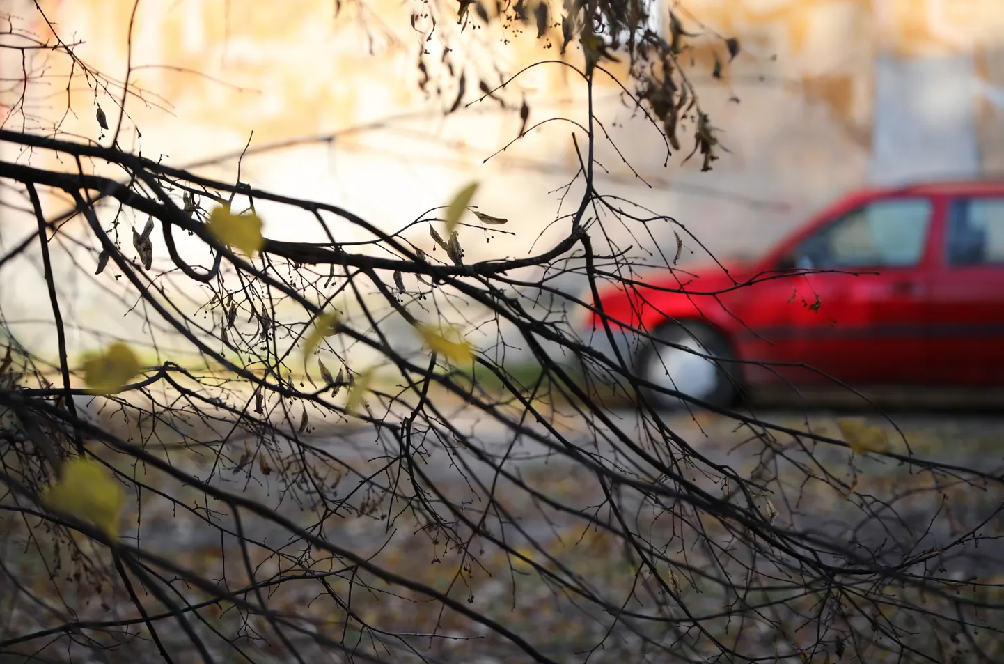 Raksta foto