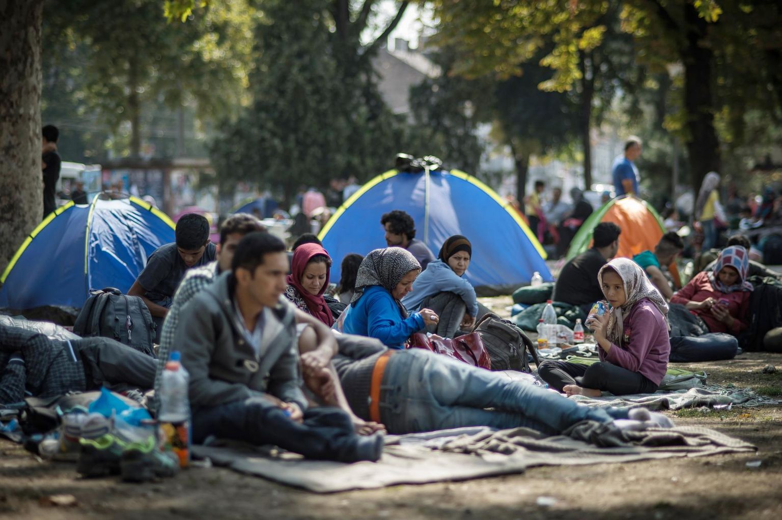 Sajad migrandid on kogunenud Serbia pealinna Belgradi parkidesse, millest on kujunenud nende smugeldajatega kohtumise paik.