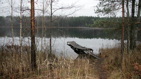 RMK plaanib Kurtna järvede hüvanguks kuivenduskraave sulgeda