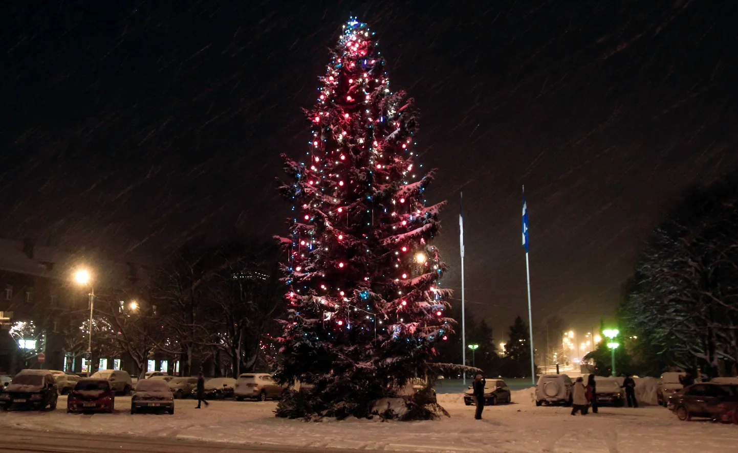 Pärnu linna tänavune jõulukuusk Keskväljakul.