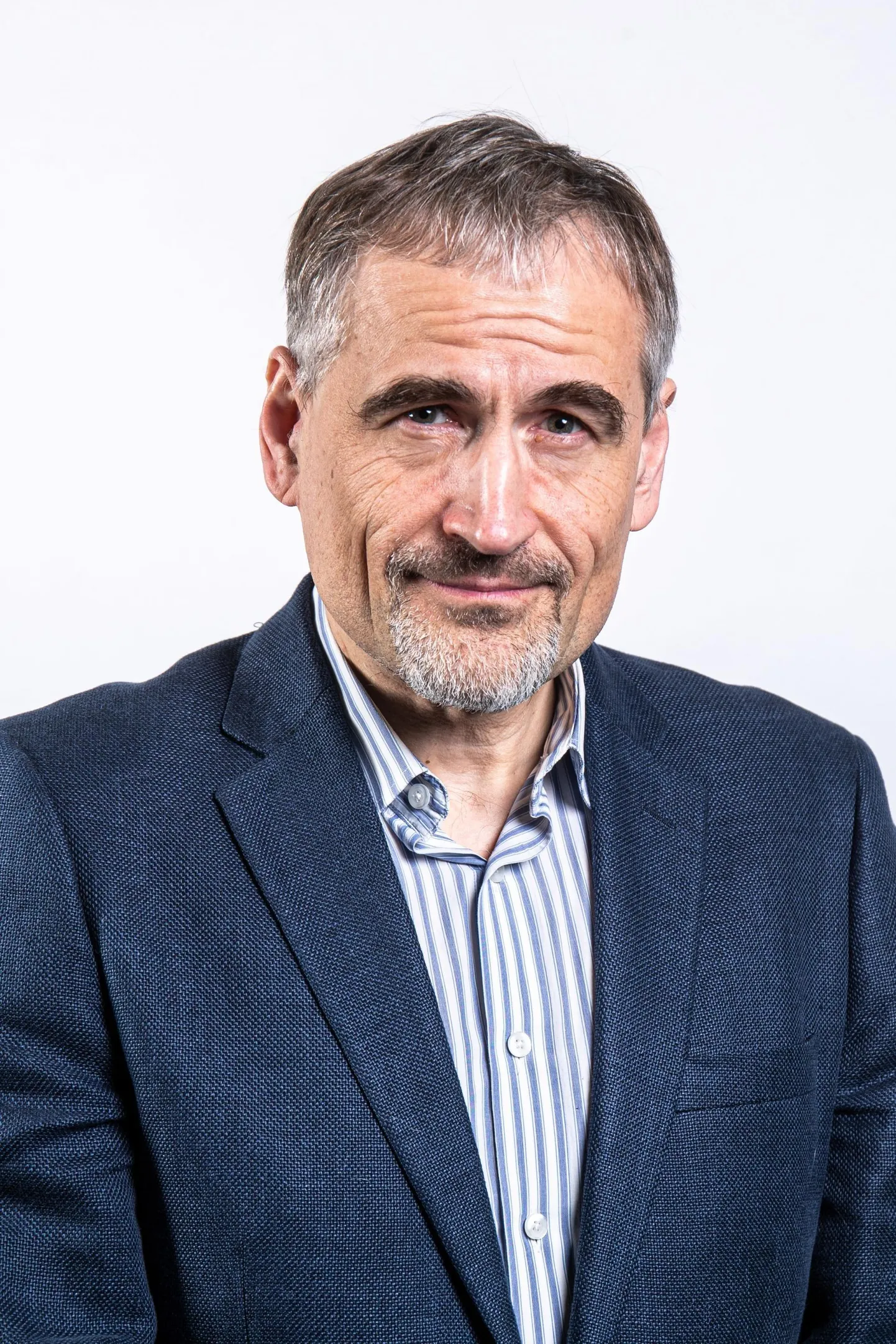 Ago Raudsepp, arvamustoimetaja
