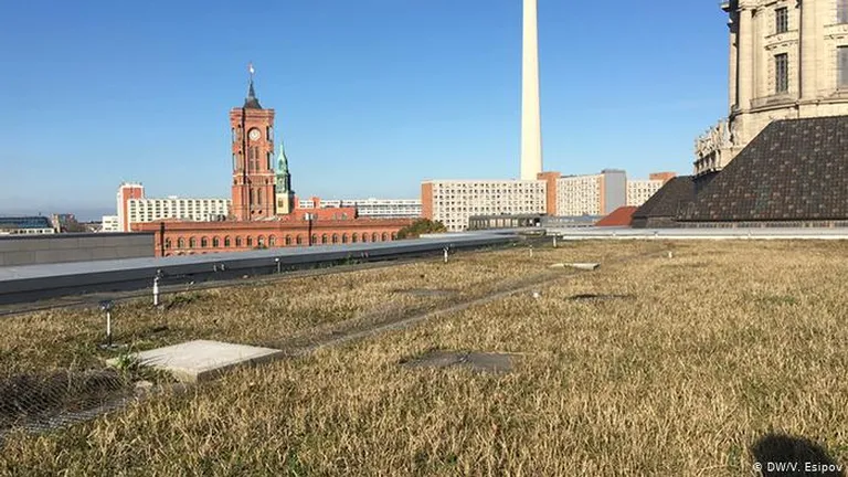 "Газон-губка" на крыше берлинского городского предприятия по водоснабжению