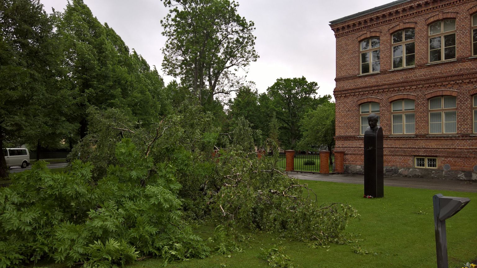 Tuulega murdunud puud Pärnu Kuninga tänava põhikooli juures.