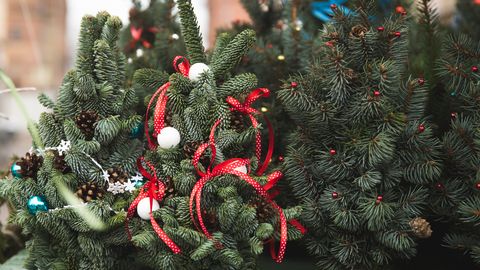 Jelgavas novadā bez maksas izvedīs eglītes