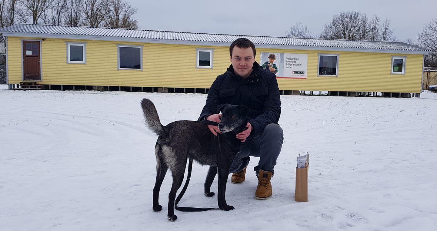 Pärnu loomade varjupaigas oli täna rõõmus päev, sest perenaise ja -mehe kaotanud Tipsu läks koju ja varjupaik sai ajutiselt koertevabaks.