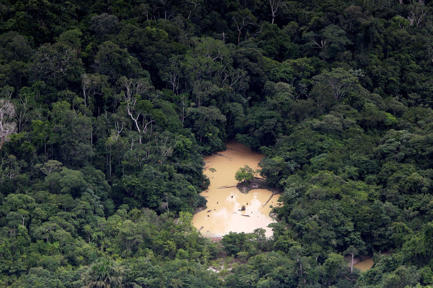 Ebaseaduslik kaevandus Amazonases.