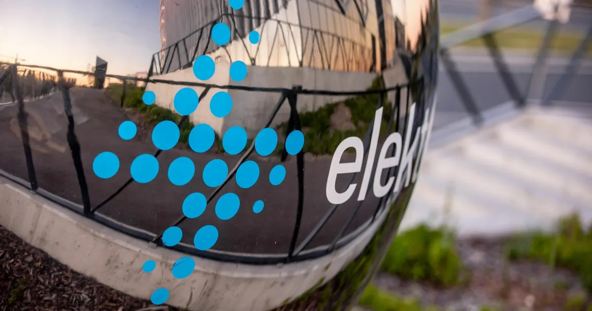 Elektrilevi are profituri operaționale uriașe, deoarece totul merge spre investiții