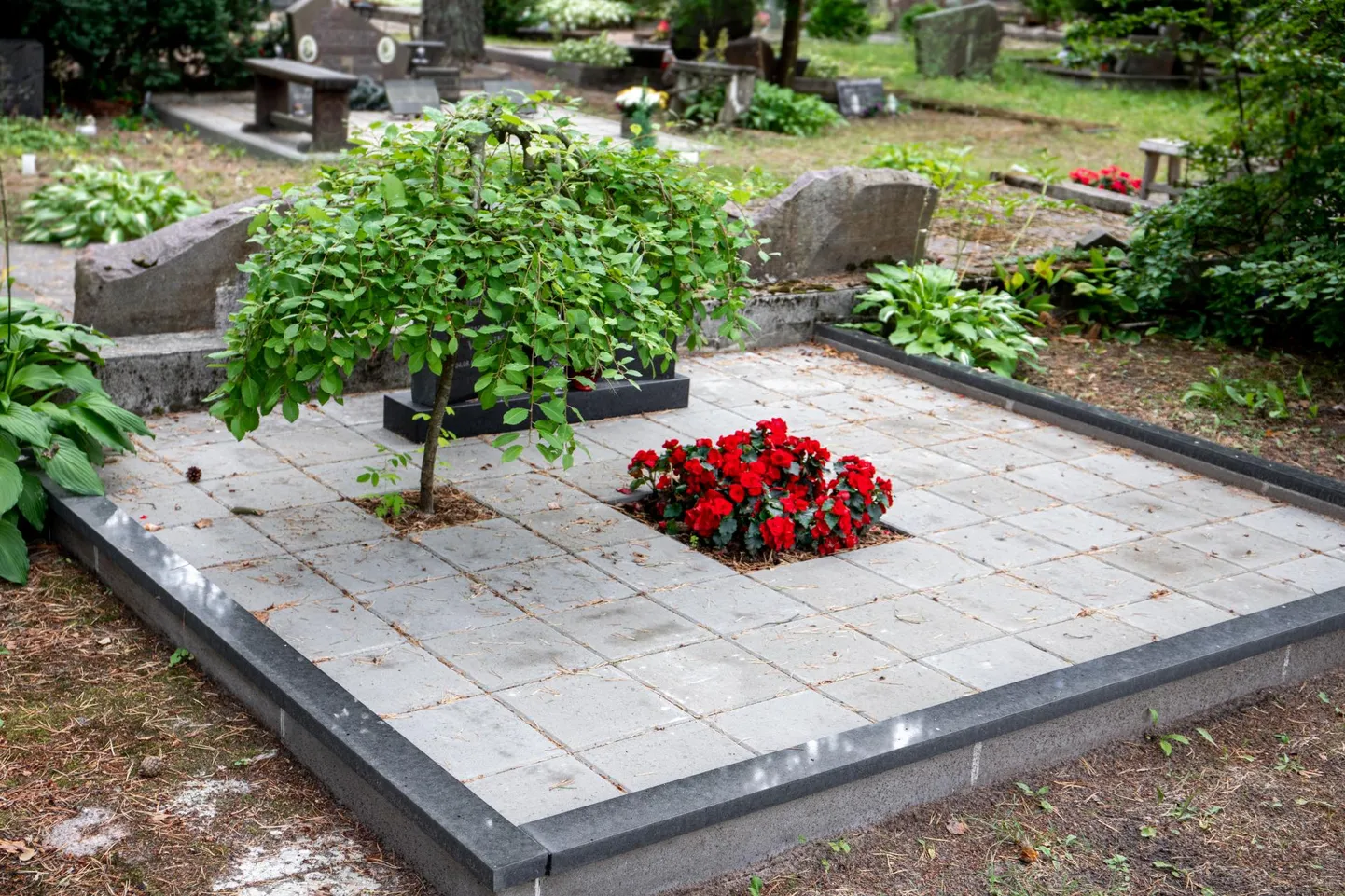 Enne puumatuse korraldamist on oluline end kurssi viia, kuhu seda matta tohib.