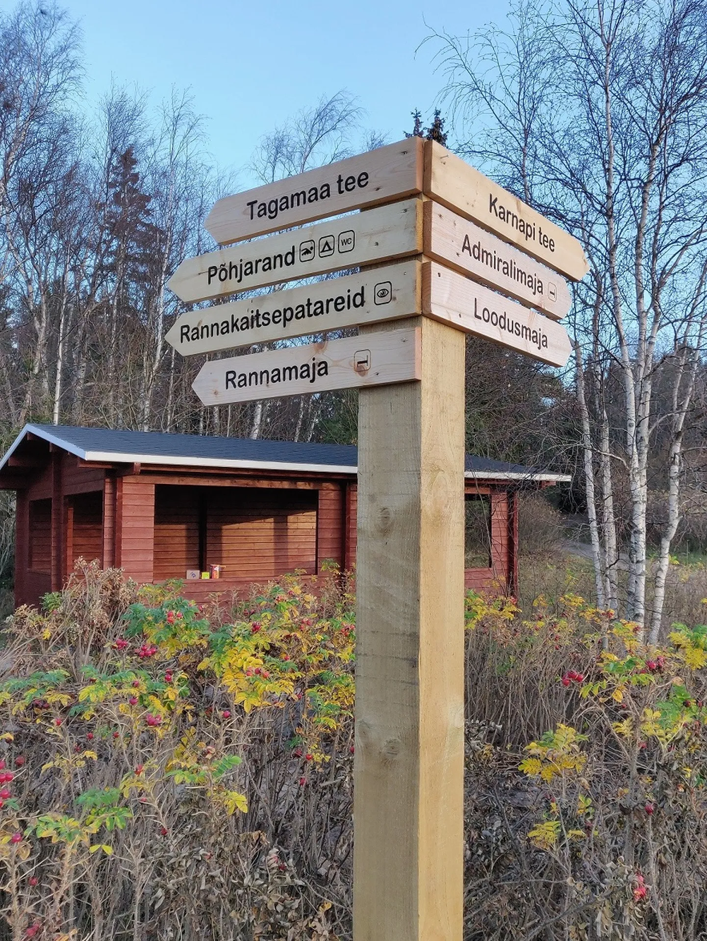 Arendusprojekt vältab 31. märtsini 2021 ja seda rahastab INTERREG Kesk-Läänemere programm. Lisaks Aegnale on projektiga hõlmatud ka Vasikkasaari Soomest, et arendada nutikateks säästva loodusturismi sihtkohtadeks kaks populaarset saarelist sihtkohta Helsingi-Tallinna kaksiklinna alal.