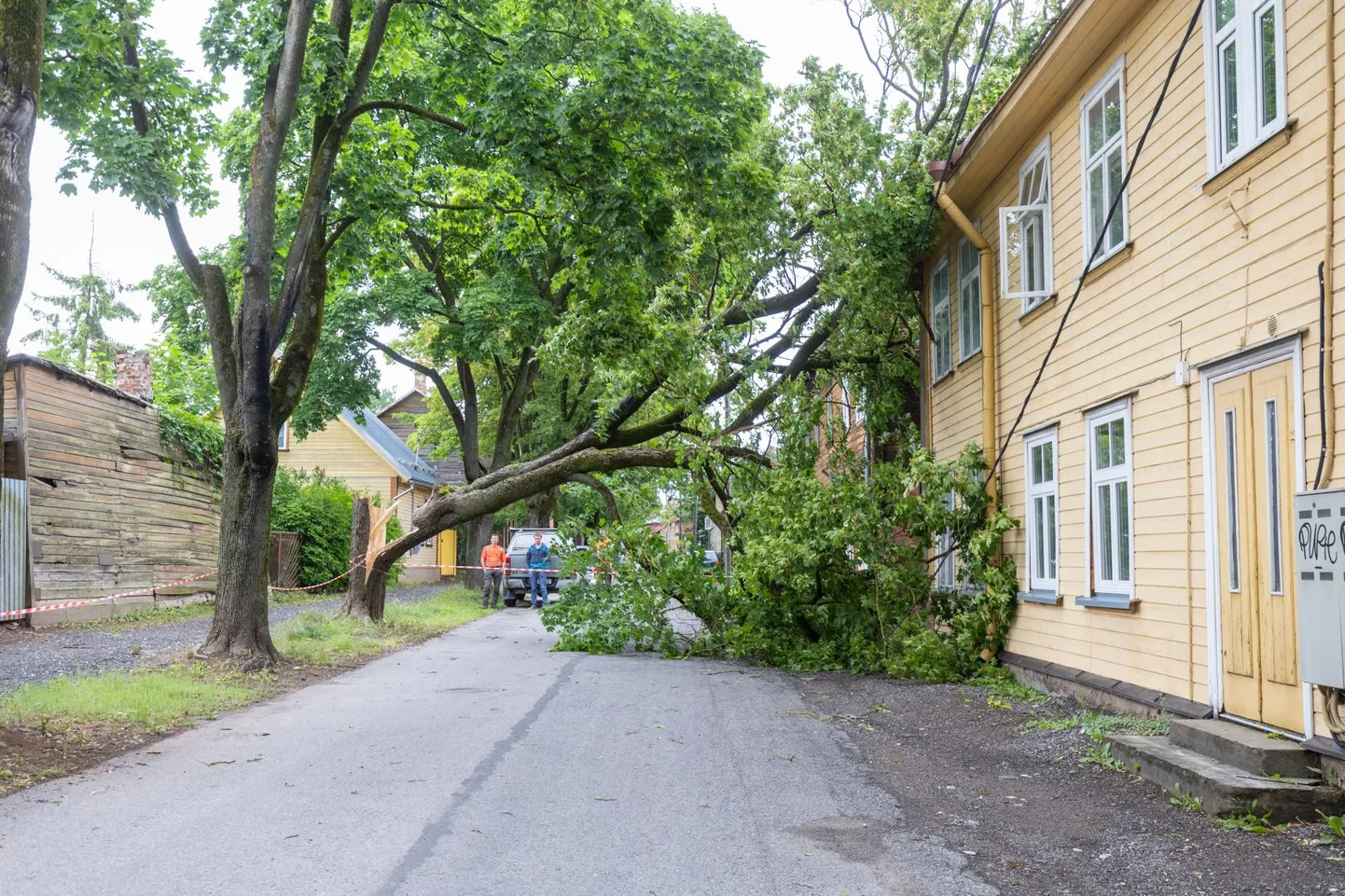 Pühapäeval veidi enne kella kolme jõudis Tartu kohale tormituul ja padusadu. Hetkega olid tänavad üle ujutatud ning tormituul räsis puid. Pildil Salme 22 majale peale murdunud puu esmaspäeva hommikul.