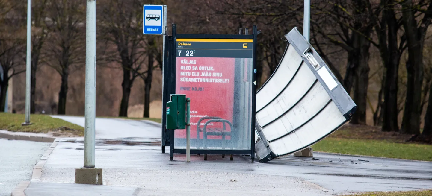 Turu tänaval asuva Rebase bussipeatus, millelt aprilli alguse torm oli katuse pealt viinud.