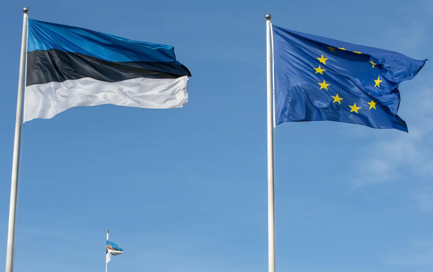 Флаги Эстонии и ЕС.
